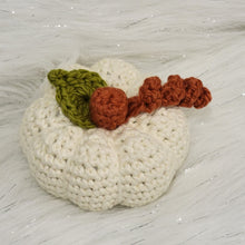 Load image into Gallery viewer, Crocheted Pumpkins