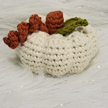 Load image into Gallery viewer, Crocheted Pumpkins