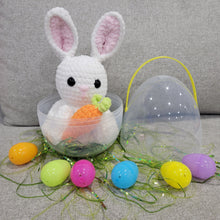 Load image into Gallery viewer, Crocheted Bunny in a Jumbo Personalized Egg.
