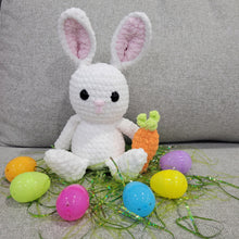 Load image into Gallery viewer, Crocheted Bunny in a Jumbo Personalized Egg.
