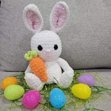 Load image into Gallery viewer, Crocheted Bunny in a Jumbo Personalized Egg.
